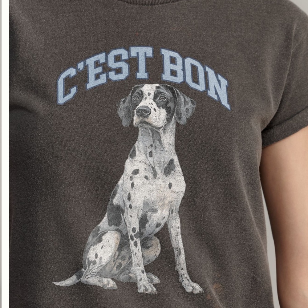 🐕‍🦺 NWT Anthropologie Charcoal Gray Dalmation Graphic Tee - XS - Picture 2 of 5